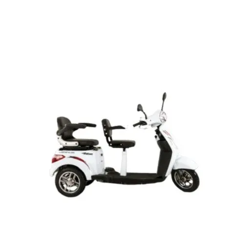 ASSISTANT XL 2500 ÇİFT KOLTUK