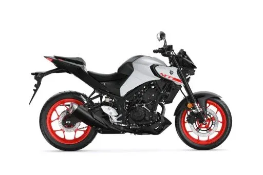 MT25