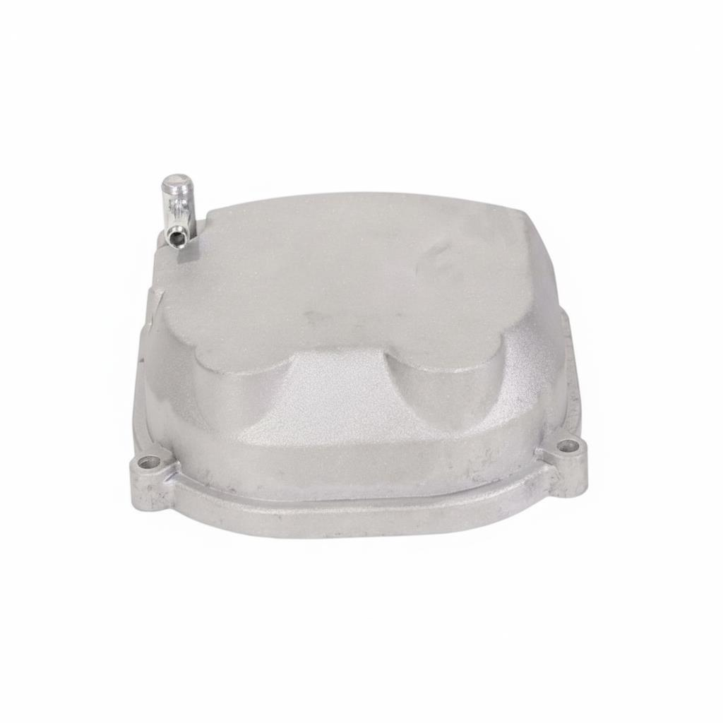 Scooter Külbütör Kapağı Saçlı