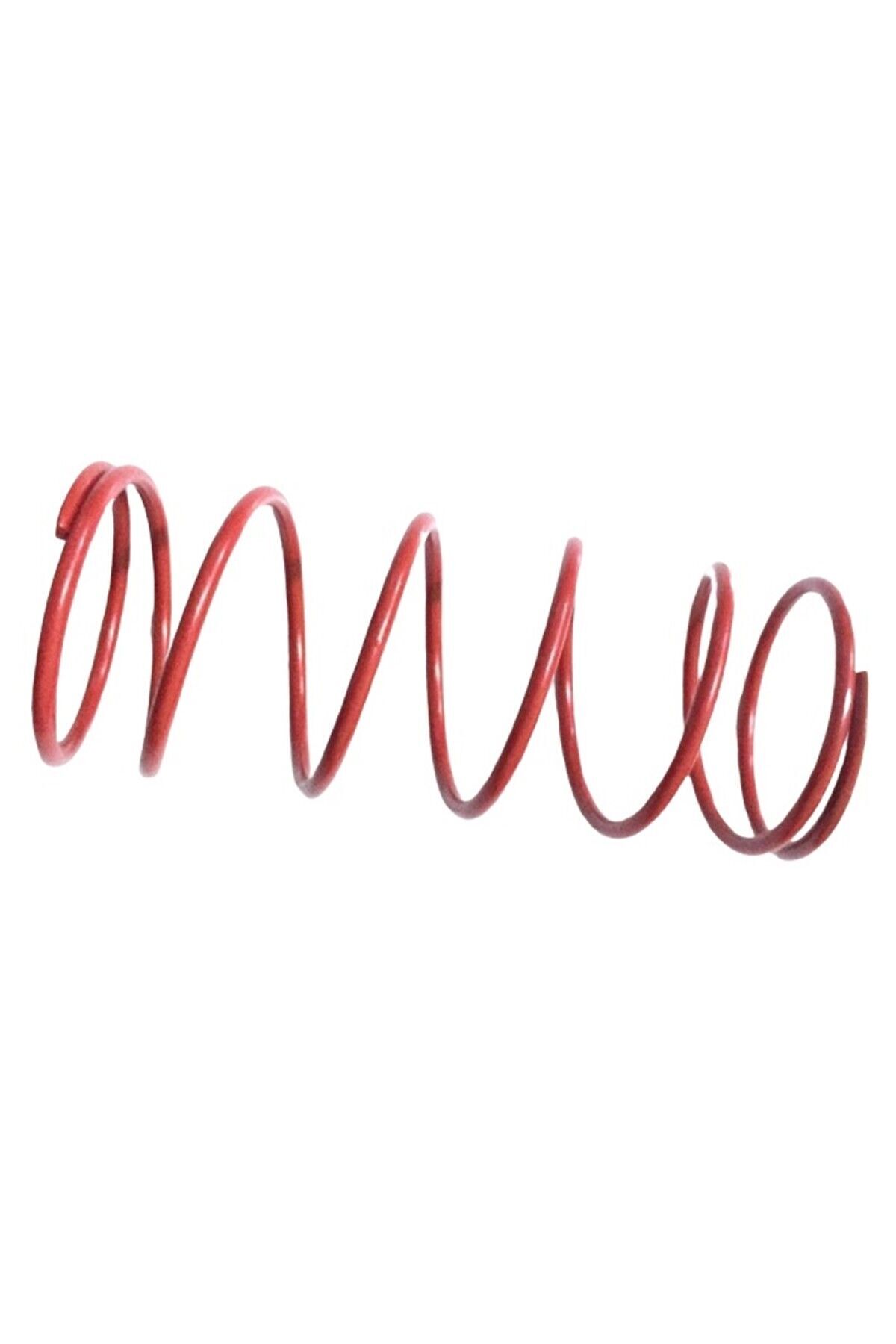 Activa Uyumlu Rölant Baskı Yayı Hn