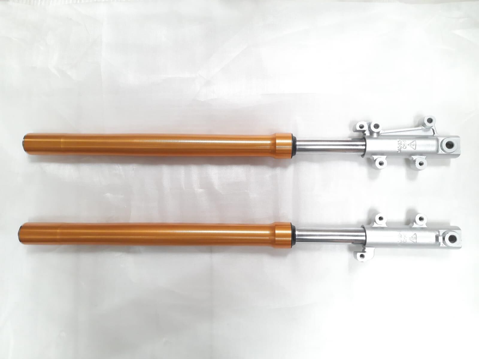 Racing 150 Ön Amortisör Sağ-Sol (1)