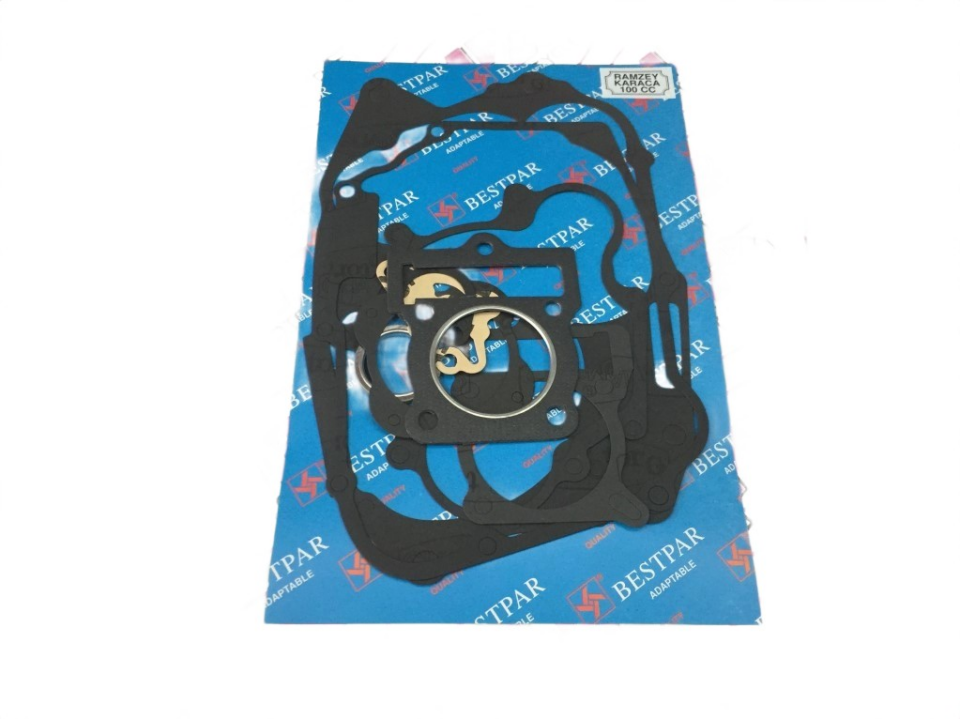 Ramzey Karaca 100 Takım Conta