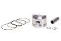 Piston 54.00 14p Std Cup 125