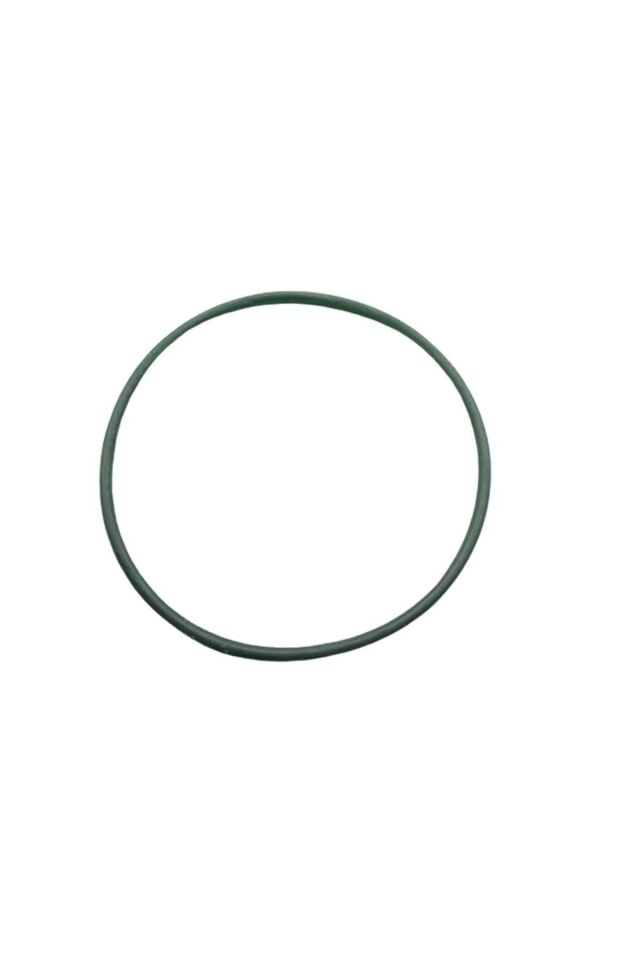 Roadstar 250 O-Ring 79-2,9