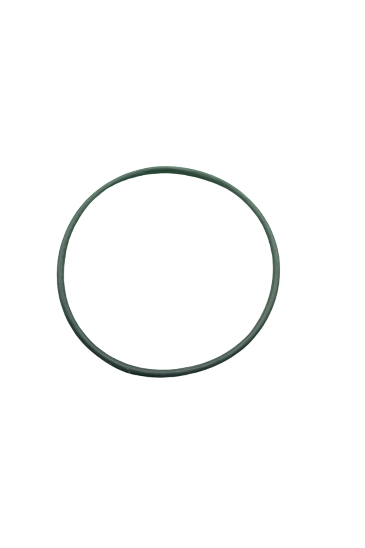 Roadstar 250 O-Ring 79-2,9