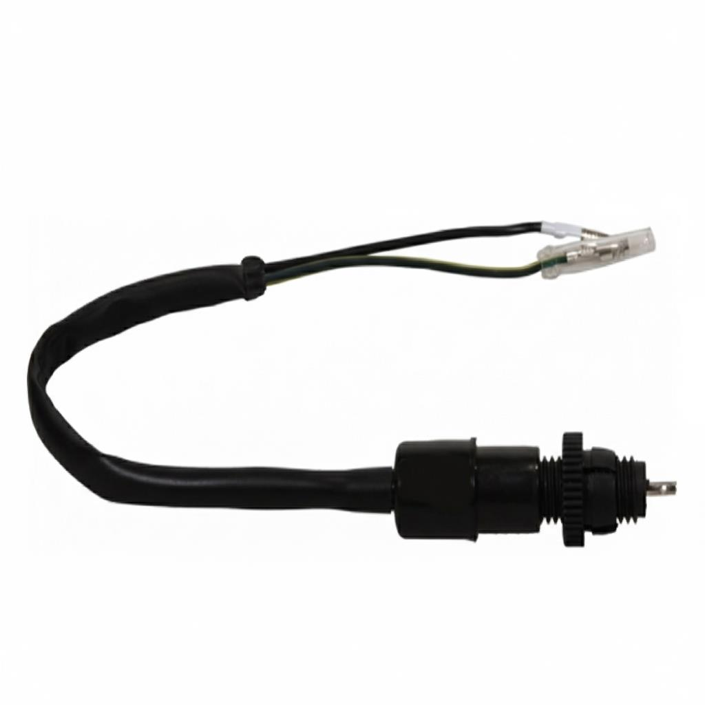 Cg Model Arka Fren Müşürü