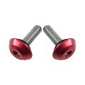 6 Mm Kırmızı Grenaj Vidası