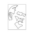 A5 Sticker 060 Tek Paket Çoklu