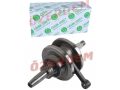 Cg Model Krank 139 Komple 13 Pim Çamlı