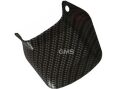Paspas Ön Carbon Cg125(TOZLUK)
