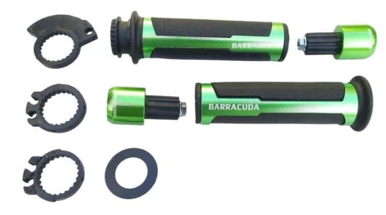 Gidon Elcik Yeşil Barracuda