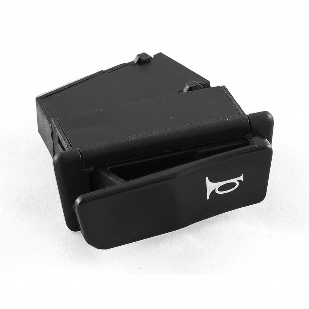 Scooter Korna Anahtarı