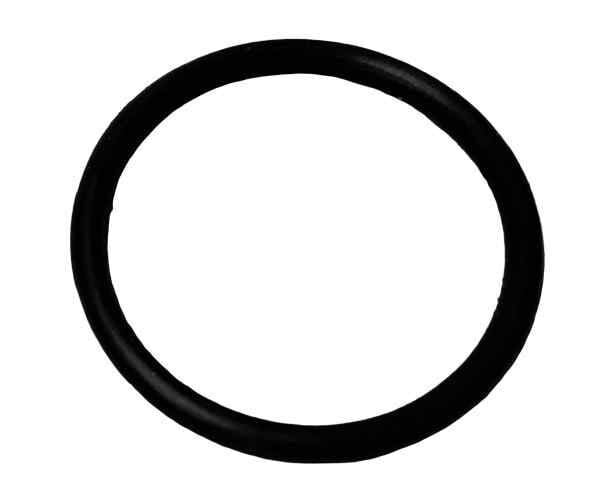 125Cg Manifold O-Ringi