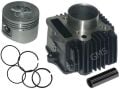 Bisan Silindir Set 50Mm 13P 69B Cup100