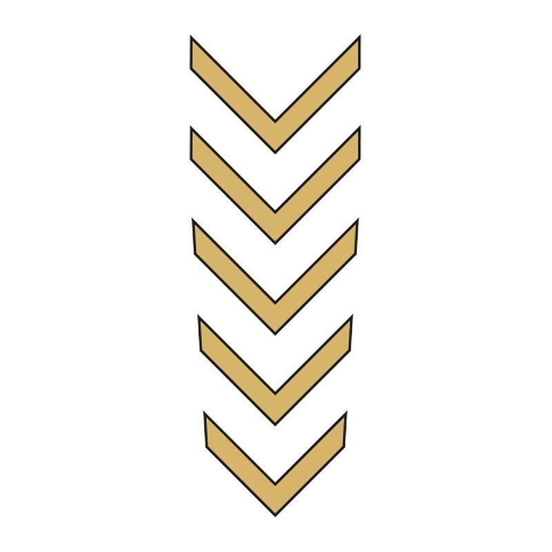 Cg Gold Çamurluk Üst Sticker