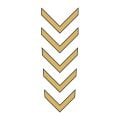 Cg Gold Çamurluk Üst Sticker