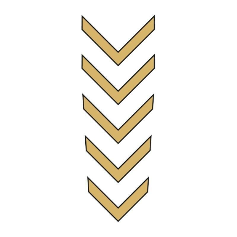 Cg Gold Çamurluk Üst Sticker