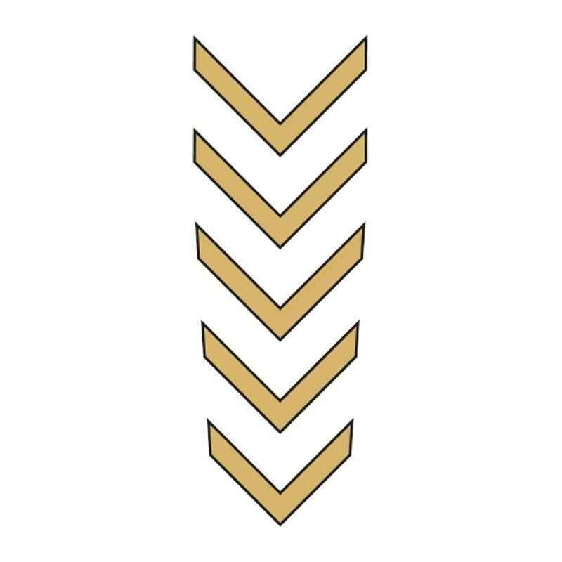 Cg Gold Çamurluk Üst Sticker