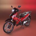 Falcon Master 50 Kaporta Seti (Komple) Kırmızı