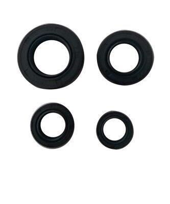 Honda Keçe Takımı Cbf Uyumlu 150