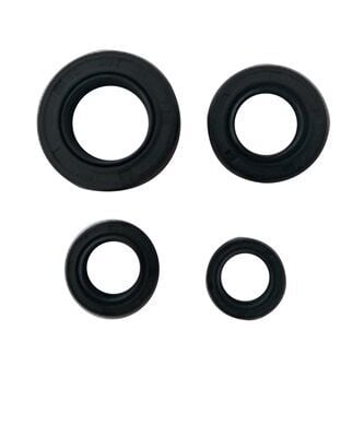 Honda Keçe Takımı Cbf Uyumlu 150