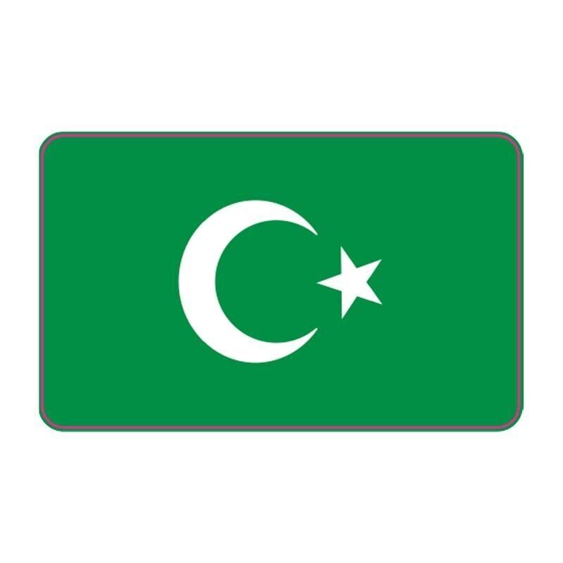 Cg Şeffaf Yeşil Bayrak Far Filmi