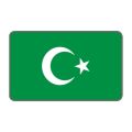 Cg Şeffaf Yeşil Bayrak Far Filmi