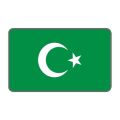 Cg Şeffaf Yeşil Bayrak Far Filmi