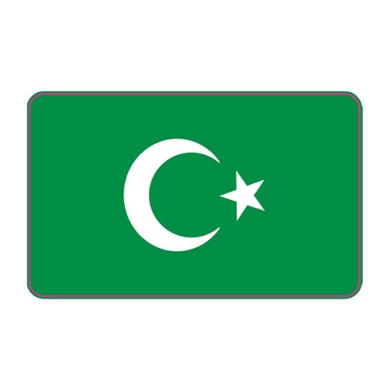 Cg Şeffaf Yeşil Bayrak Far Filmi