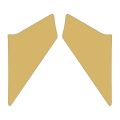 Cg Gold Ön Çamurluk Yan Sticker