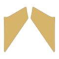 Cg Gold Ön Çamurluk Yan Sticker