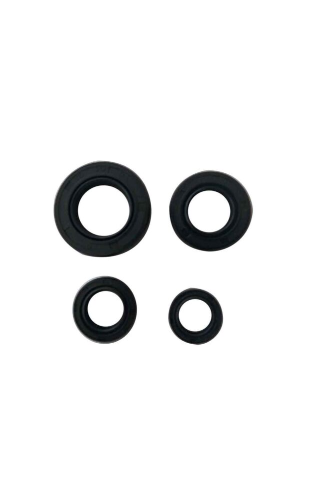 Cbf 150 Uyumlu Keçe Seti 4 Lü