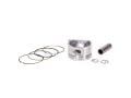 Piston 50.00 13P Std Cub 100
