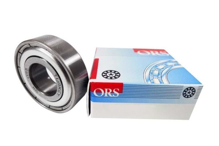 6005 Rulman Ors