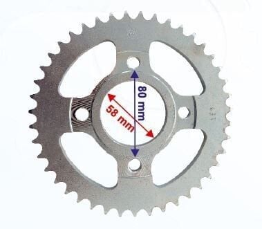 125 Cg Model Arka Dişli 428-43T İç 58 Mm Öm