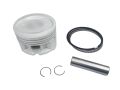 Crypton 110 Cc Uyumlu Piston Arp 51,50 Mm (Std+0,50)