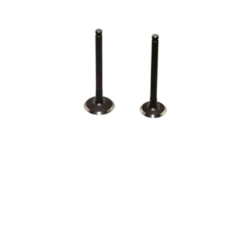 Subap Takımı Cup 100 Ys