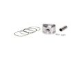 Piston 64.00 (0.50) 15P Cg 200