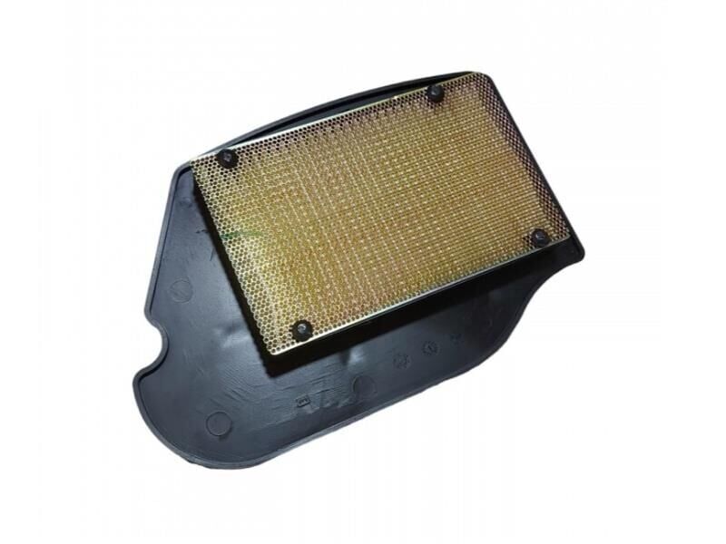 Tvs Wego 110 Hava Filtre Elemanı K6040690 Orj