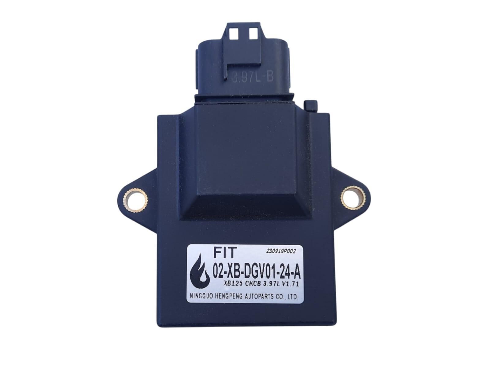 Rmg Ecu Beyin (Fıt) Panzer