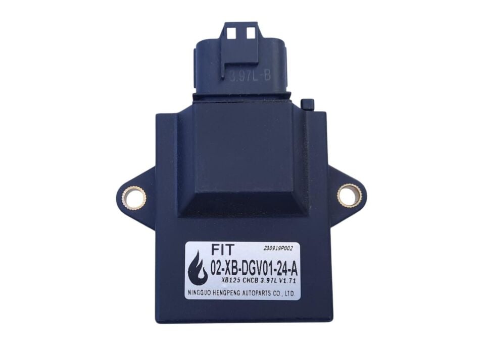 Rmg Ecu Beyin (Fıt) Panzer