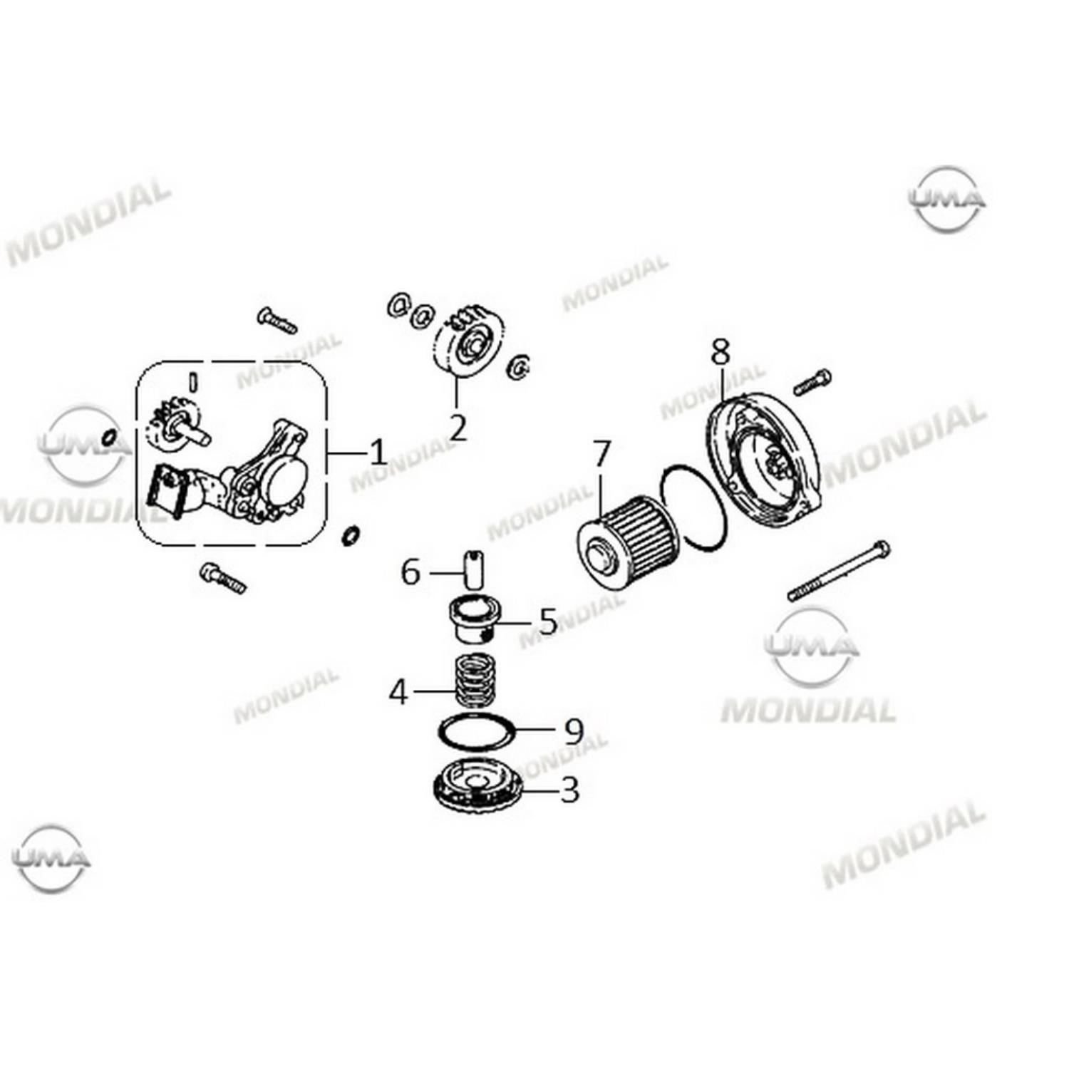 Buccaneer 250İ Yağ Pompası Komple Orj