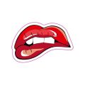 SEVGENT 50 X 70 Mm Sticker 10Lu