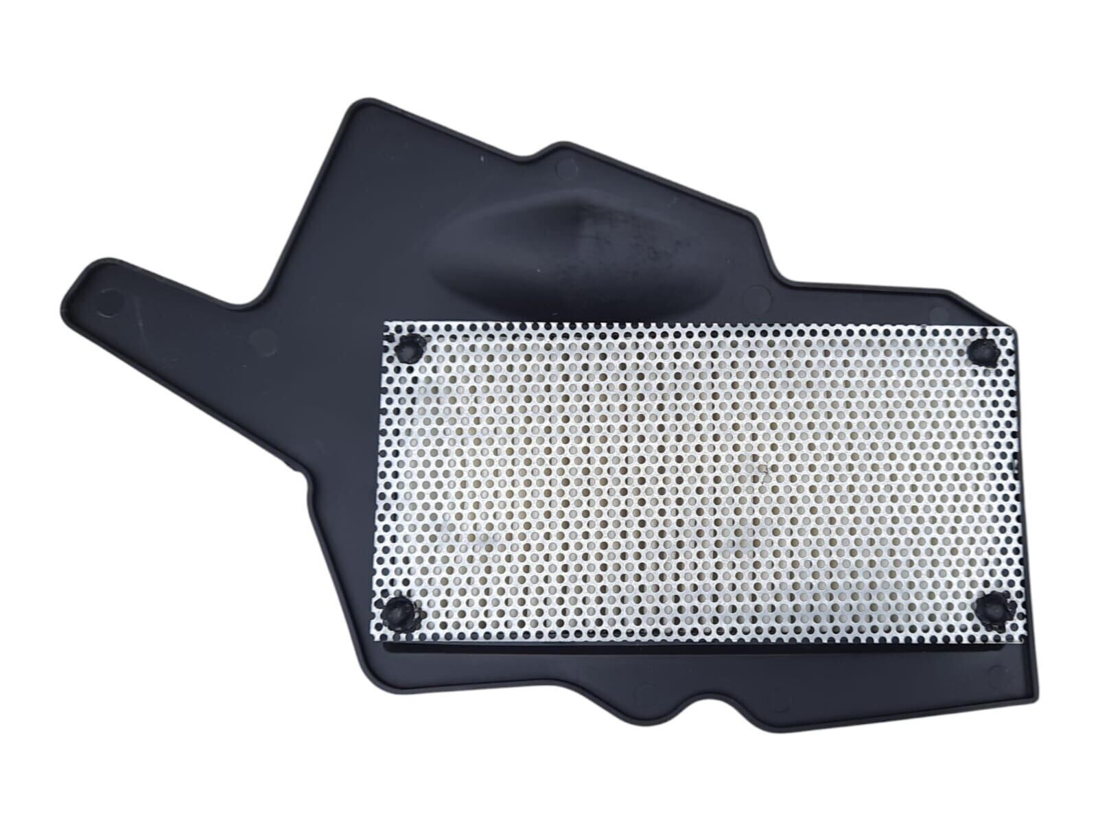 Tvs Raider 125 Hava Filtre Elemanı