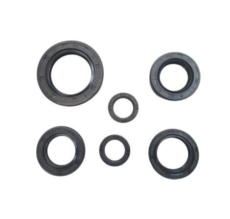 Honda Keçe Takımı 6 Lı Dio