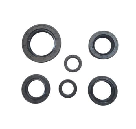 Honda Keçe Takımı 6 Lı Dio