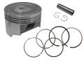 Kuba Pıston Set Std 53.50Mm Zenzero-Prıvate 125