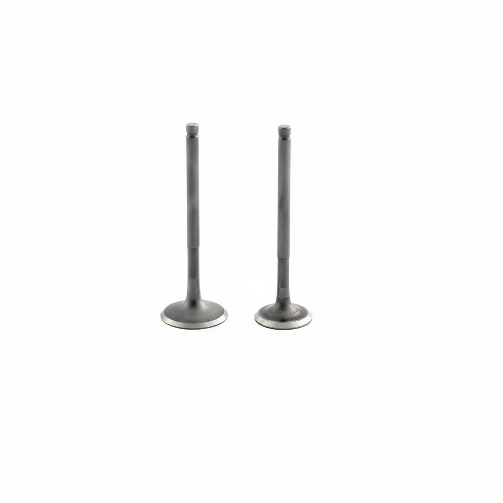 Cross Ramzey 200 Sibop Dq 28-33-89-90-5,5