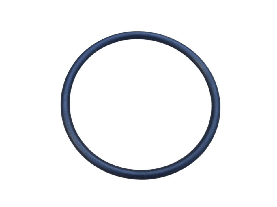 Honda Spacy Dio Activa S Şamandıra O-Ringi