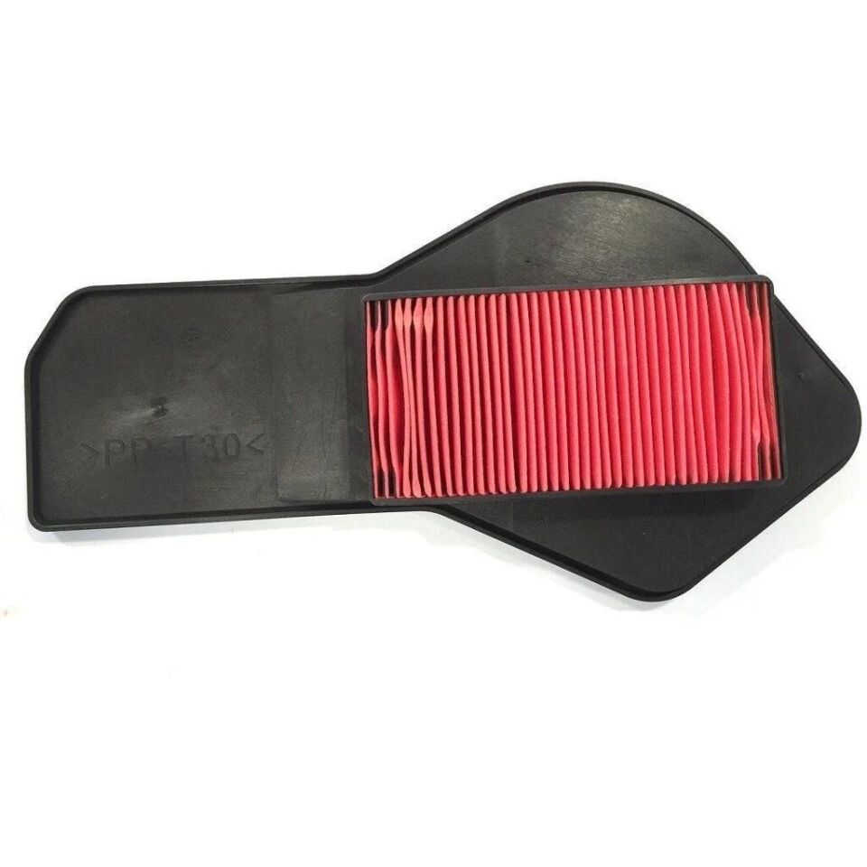 Cygnus L Uyumlu Hava Filtre Elemanı